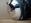 IMG_7651 (Small)